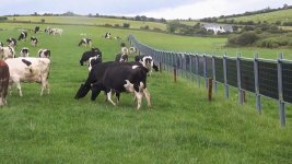 snapshot dairy with solar fence.jpg