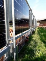 Bifacial fence for poultry.jpeg