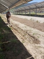 Keenan Trenching for Wheat Seeding.jpg