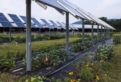 Solar Panel Garden - Courtesty of NREL