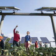 August 29, 2018 - NREL researcher Jordan Macknick and Michael Lehan discuss panel orientation and spacing. Macknick is working with teams from UMass Clean Energy Extension and Hyperion on a photovoltaic dual-use research project at the UMass Crop Animal Research and Education Center in South Deerfield, MA. They are researching simultaneously growing crops under PV Arrays while producing electricity from the panels. The project is part of the DOE InSPIRE project seeking to improve the environmental compatibility and mutual benefits of solar development with agriculture and native landscapes. L-R Michael Lehan, Jordan Macknick, Anne Marley, Jake Marley, Dwayne Bregel, Kristin Oleskwwicz and Zara Dowling. (Photo by Dennis Schroeder / NREL)