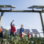 August 29, 2018 - NREL researcher Jordan Macknick and Michael Lehan discuss panel orientation and spacing. Macknick is working with teams from UMass Clean Energy Extension and Hyperion on a photovoltaic dual-use research project at the UMass Crop Animal Research and Education Center in South Deerfield, MA. They are researching simultaneously growing crops under PV Arrays while producing electricity from the panels. The project is part of the DOE InSPIRE project seeking to improve the environmental compatibility and mutual benefits of solar development with agriculture and native landscapes. L-R Michael Lehan, Jordan Macknick, Anne Marley, Jake Marley, Dwayne Bregel, Kristin Oleskwwicz and Zara Dowling. (Photo by Dennis Schroeder / NREL)