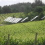 Solar panels in Oregon vineyard