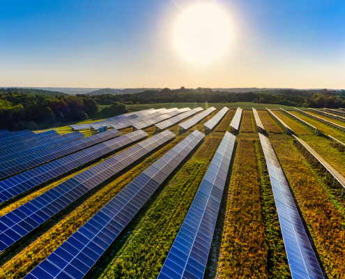 Agrisolar News Roundup Photo