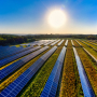 Agrisolar News Roundup Photo