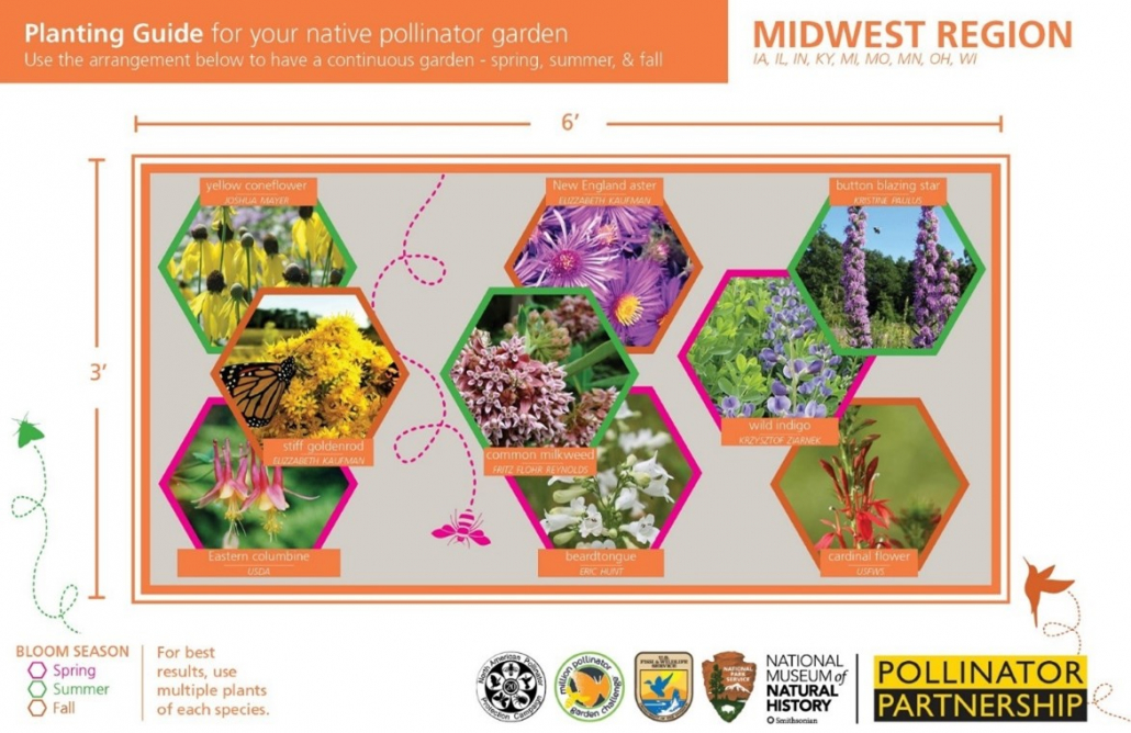Combine copious colors and diverse blossoms. Add a splash of sweet-smelling nectar, a pinch of pollen, consecutive blooms, and voila! With these recipes, pollinators are sure to nectar in your gorgeous garden!