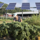 August 29, 2018 - UMass Grad student Kristin Oleskwwicz harvests vegetables grown under PV arrays at a test plot at the UMass Crop Animal Research and Education Center in South Deerfield, MA. NREL researcher Jordan Macknick is working with teams from UMass Clean Energy Extension and Hyperion on a photovoltaic dual-use research project at the site. The project is researching simultaneously growing crops under PV arrays while producing electricity from the panels and is part of the DOE InSPIRE project seeking to improve the environmental compatibility and mutual benefits of solar development with agriculture and native landscapes. (Photo by Dennis Schroeder / NREL)