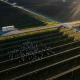 Sheep under solar panels