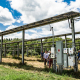 Blue Sky Solar Farm People