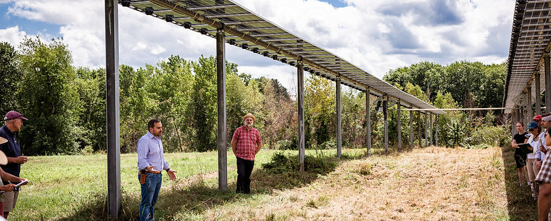 People Under Solar Panels