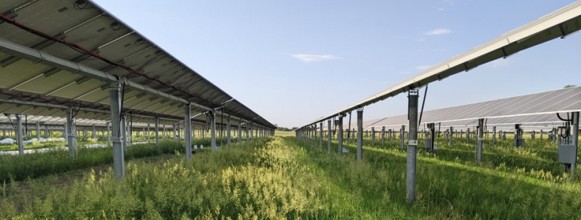 Grassland and Solar Array