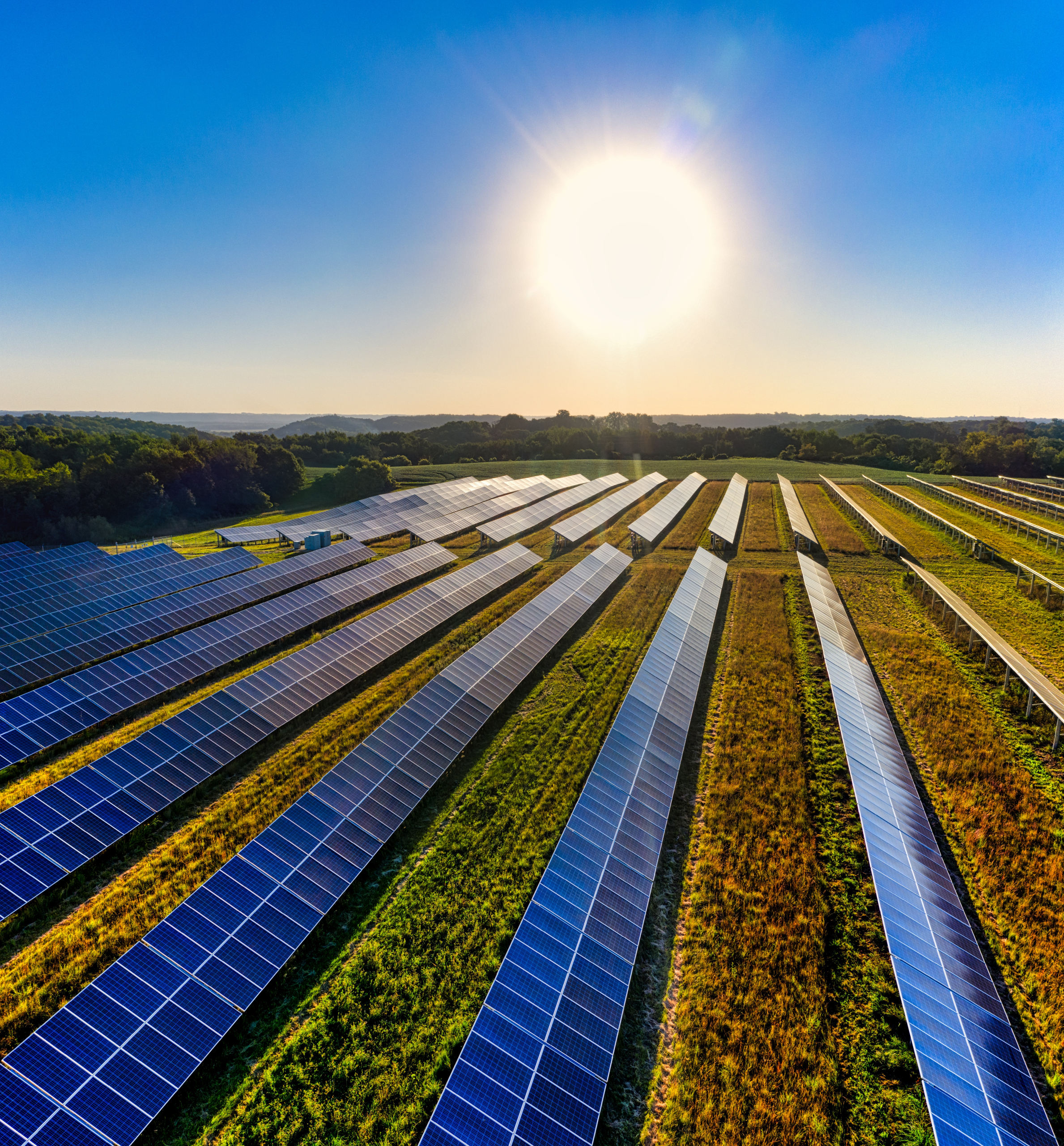 This Solar-Powered Dehydrator Could Help Small Farmers Reduce Food